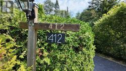 Private oasis - 