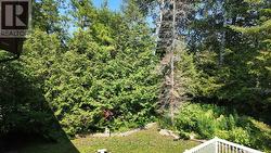 Beautiful seclusion - 