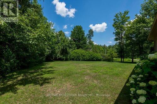 Side yard - 5 Pine Hill Drive, Springwater, ON - Outdoor