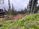192 Alpine Way, Smithers, BC 