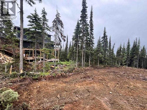 192 Alpine Way, Smithers, BC 