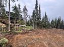 192 Alpine Way, Smithers, BC 