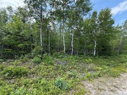 Lot 2 O'Keefe RD  Miramichi, NB E1V 6J3