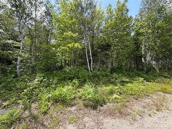 Lot 3 O'Keefe  Miramichi, NB E1V 6J3