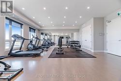 Gym - 
