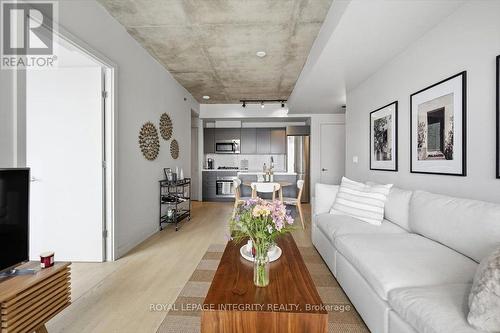 602 - 203 Catherine Street, Ottawa, ON - Indoor Photo Showing Living Room