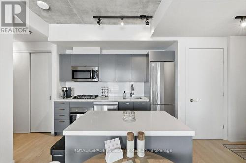 602 - 203 Catherine Street, Ottawa, ON - Indoor Photo Showing Kitchen With Upgraded Kitchen