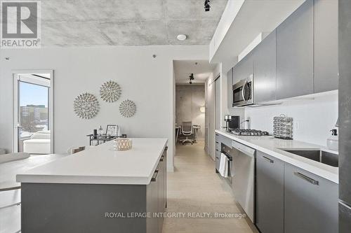 602 - 203 Catherine Street, Ottawa, ON - Indoor Photo Showing Kitchen With Upgraded Kitchen