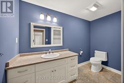 Basement Bathroom - 