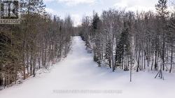 Toboggan Hill - 
