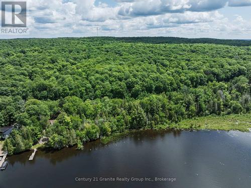 0 Kashagawigamog Lake Road, Minden Hills (Minden), ON 