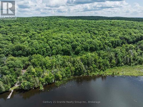 0 Kashagawigamog Lake Road, Minden Hills (Minden), ON 