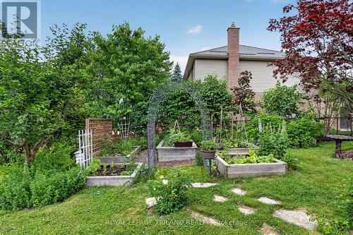 Raised Garden Beds - 46 Garden Walk, London South (South N), ON - Outdoor
