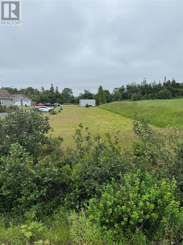 17 Middle Ridge, Conception Bay South, NL 