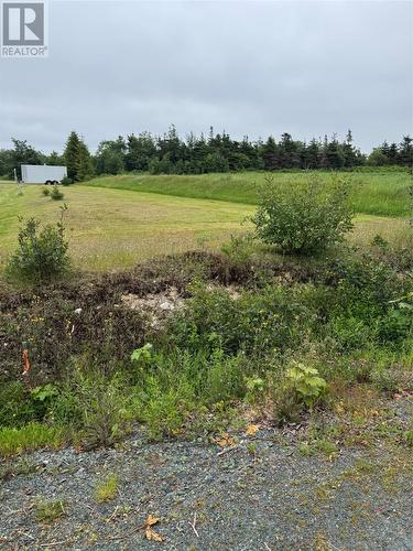 17 Middle Ridge, Conception Bay South, NL 
