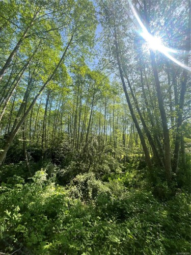 3401 River Rd, Chemainus, BC 