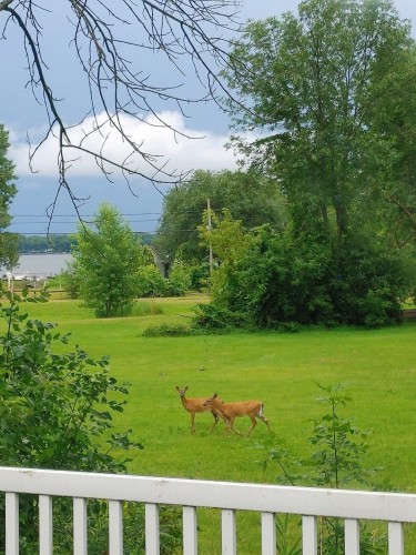 Vue - 192 12E Avenue O., Venise-En-Québec, QC - Outdoor With View