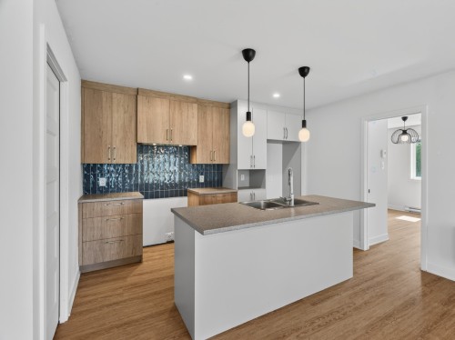 Kitchen - 2-338 Rue St-Raphael, Salaberry-De-Valleyfield, QC - Indoor Photo Showing Kitchen With Double Sink