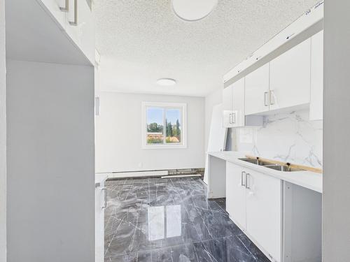 12222 111 Ave Nw, Edmonton, AB - Indoor Photo Showing Kitchen With Double Sink