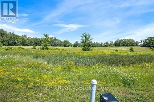 View from Back Deck - Lba047 - 1235 Villiers Line, Otonabee-South Monaghan, ON - Outdoor With View