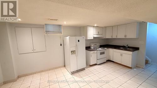 Basement - 36 Windward Crescent, Vaughan, ON - Indoor Photo Showing Kitchen With Double Sink