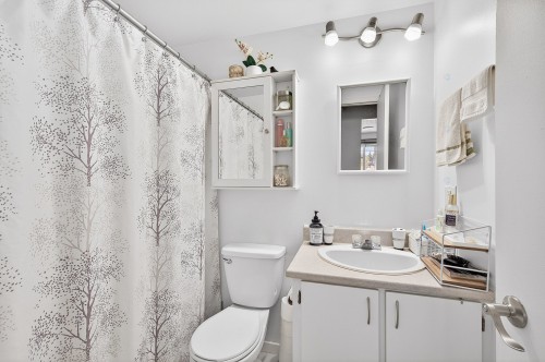Dwelling - 725 Rue De Boucherville, Drummondville, QC - Indoor Photo Showing Bathroom