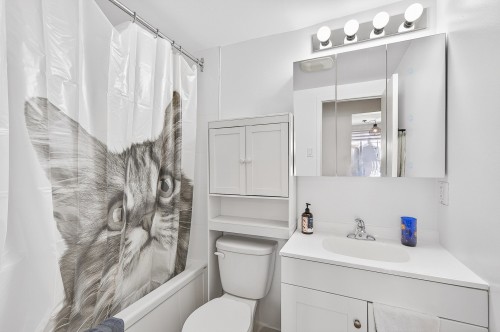 Dwelling - 755 Rue De Boucherville, Drummondville, QC - Indoor Photo Showing Bathroom
