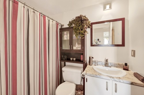 Dwelling - 755 Rue De Boucherville, Drummondville, QC - Indoor Photo Showing Bathroom