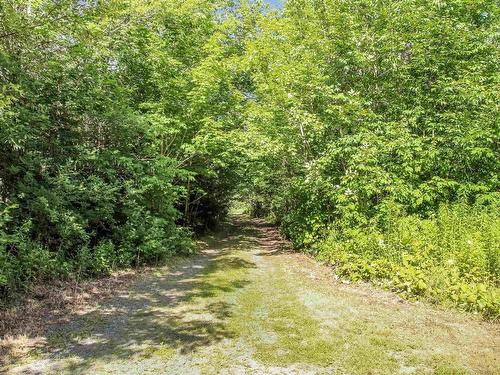 2113 Fire Lane, Torbrook, NS - Outdoor
