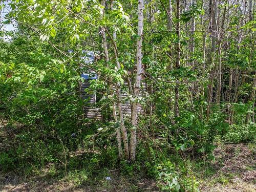 2113 Fire Lane, Torbrook, NS - Outdoor