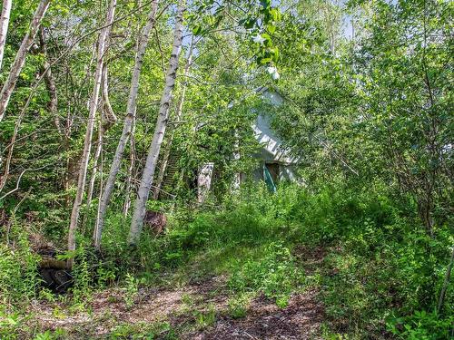 2113 Fire Lane, Torbrook, NS - Outdoor