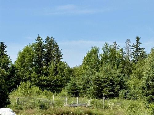 272 Breen Road, Monastery, NS 