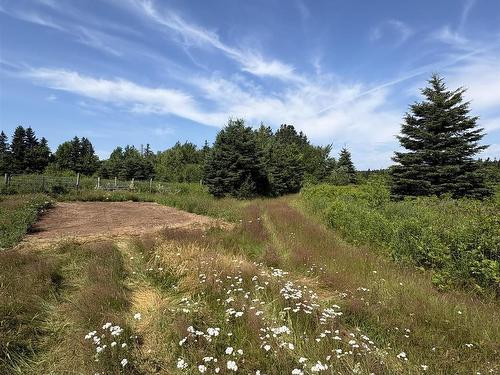 272 Breen Road, Monastery, NS 