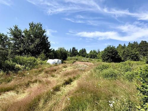 272 Breen Road, Monastery, NS 