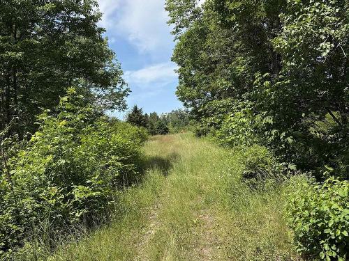 272 Breen Road, Monastery, NS 