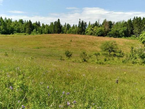 272 Breen Road, Monastery, NS 