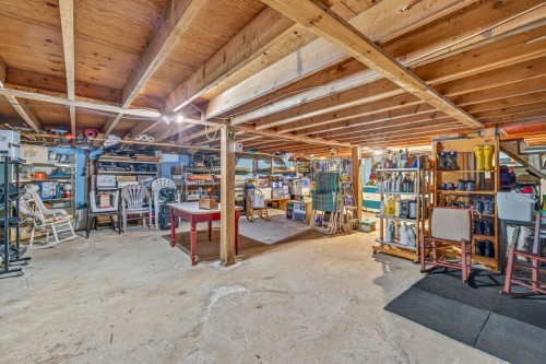 Sous-sol - 230 Av. Jean-Joseph E., Saint-Raymond, QC - Indoor