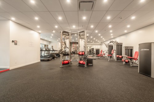 Exercise Room - Ph-2-1455 Rue Sherbrooke O., Montréal (Ville-Marie), QC - Indoor Photo Showing Other Room