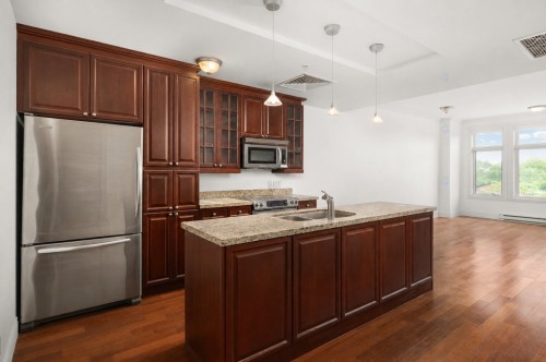 Cuisine - 303-205 Av. Victoria, Westmount, QC - Indoor Photo Showing Kitchen With Double Sink