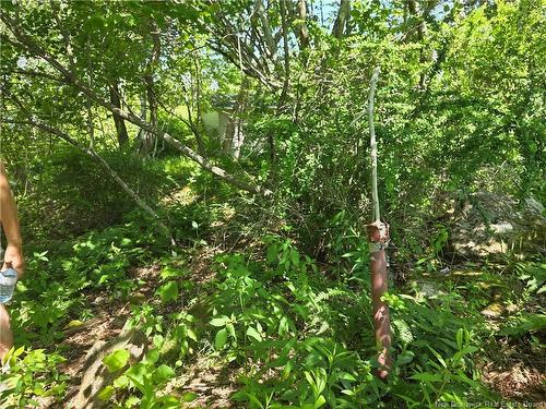 90 Crowley Rd, Saint John, NB 
