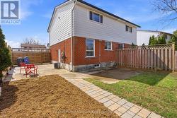 Backyard - 