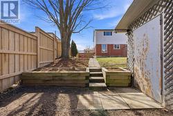 Backyard - 