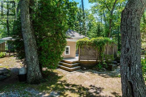 224 Tiny Beaches Road S Road, Tiny, ON - Outdoor