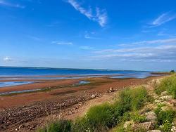 6.52 Acres Locke Shore Road Sherbrooke, PE C1N 4J8