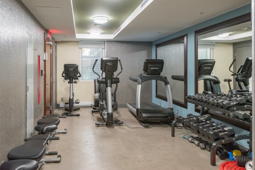 Exercise Room - 17E-1650 Rue Sherbrooke O., Montréal (Ville-Marie), QC - Indoor Photo Showing Gym Room