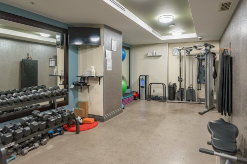 Exercise Room - 17E-1650 Rue Sherbrooke O., Montréal (Ville-Marie), QC - Indoor Photo Showing Gym Room