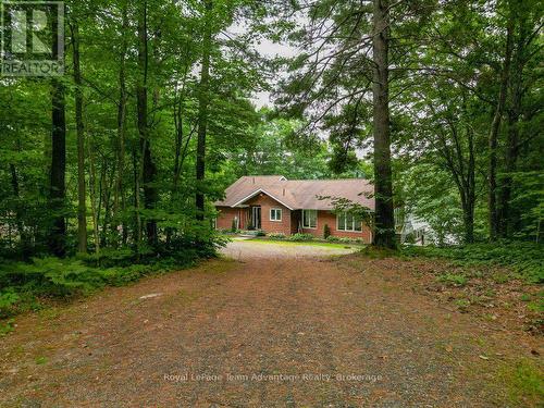 Driveway in - 10 3Rd Concession Road, Carling, ON - Outdoor