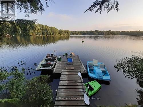 60WA GOOSENECK LAKE  Whitestone, ON P0A 1G0