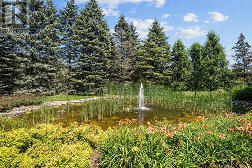 A Pond with Fountain Creates a Memorable Arrival! - 10090 Pineview Trail, Milton, ON - Outdoor With View