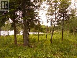 00 Salt Pond Road Springdale, NL A0J 1T0